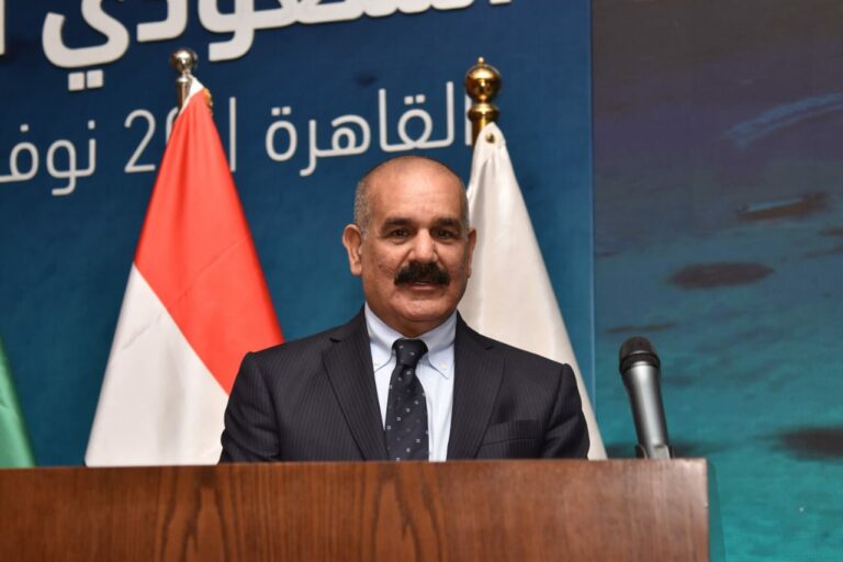 المكاوي: التقارب المصري التركي هام لمواجهة التحديات الإقليمية الراهنة