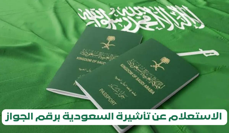 3 طرق للاستعلام عن التأشيرة برقم الجواز السعودية