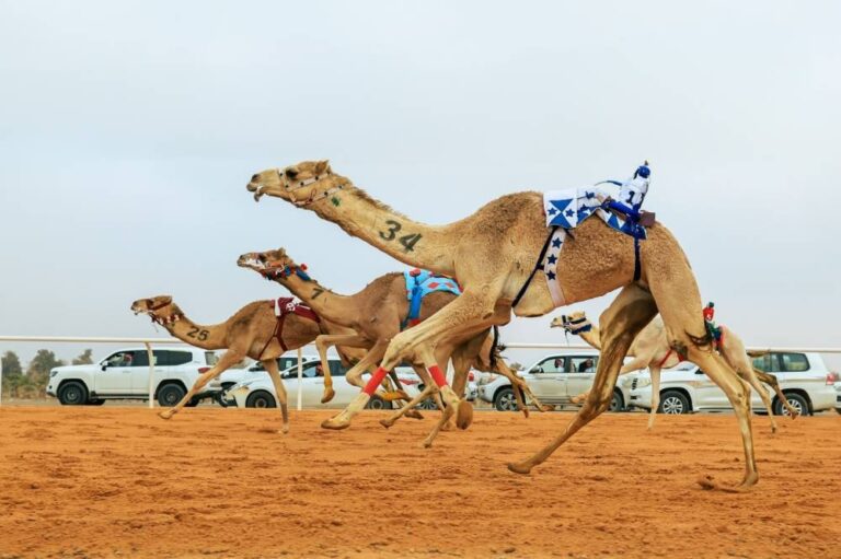 عرقان-يسجل-الزمن-اﻷسرع